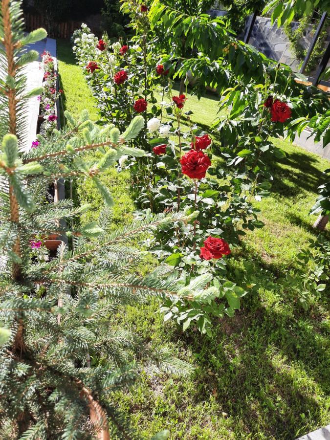 Cherry Garden Boutique Hotel Yeghegnadzor Esterno foto