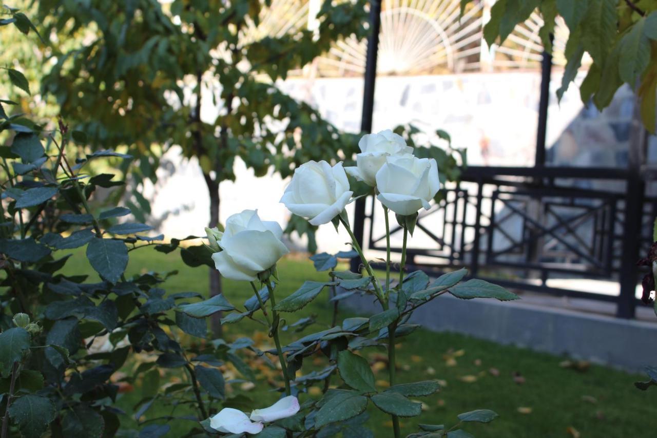 Cherry Garden Boutique Hotel Yeghegnadzor Esterno foto